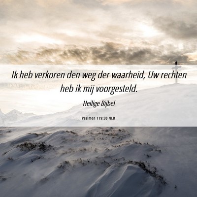 Picture 06 - Psalmen 119:30 NLD - Ik heb verkoren den weg der waarheid, Uw rechten - Bible Verse Picture