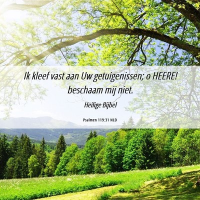 Picture 06 - Psalmen 119:31 NLD - Ik kleef vast aan Uw getuigenissen; o HEERE! - Bible Verse Picture