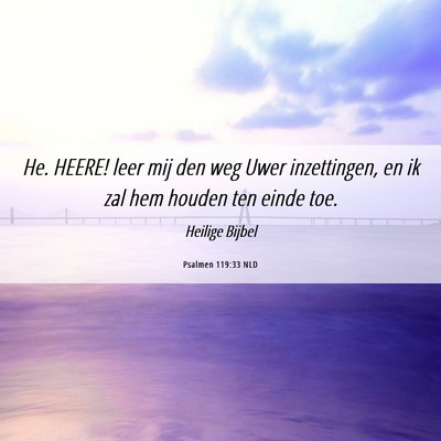 Picture 06 - Psalmen 119:33 NLD - He. HEERE! leer mij den weg Uwer inzettingen, en - Bible Verse Picture