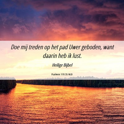Picture 06 - Psalmen 119:35 NLD - Doe mij treden op het pad Uwer geboden, want - Bible Verse Picture