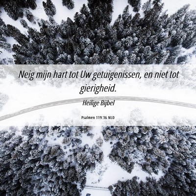 Picture 06 - Psalmen 119:36 NLD - Neig mijn hart tot Uw getuigenissen, en niet tot - Bible Verse Picture