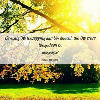 Picture 06 - Psalmen 119:38 NLD - Bevestig Uw toezegging aan Uw knecht, die Uw - Bible Verse Picture