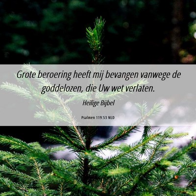 Picture 06 - Psalmen 119:53 NLD - Grote beroering heeft mij bevangen vanwege de - Bible Verse Picture