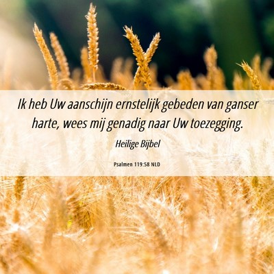 Picture 06 - Psalmen 119:58 NLD - Ik heb Uw aanschijn ernstelijk gebeden van ganser - Bible Verse Picture
