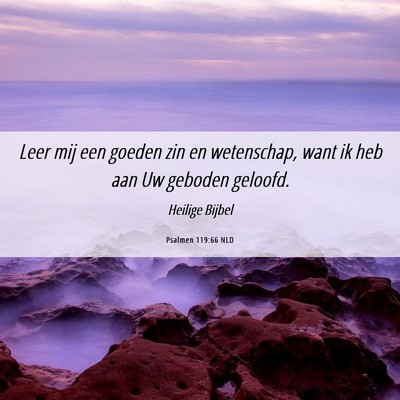Picture 06 - Psalmen 119:66 NLD - Leer mij een goeden zin en wetenschap, want ik - Bible Verse Picture