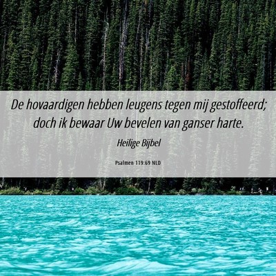 Picture 06 - Psalmen 119:69 NLD - De hovaardigen hebben leugens tegen mij - Bible Verse Picture