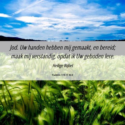 Picture 06 - Psalmen 119:73 NLD - Jod. Uw handen hebben mij gemaakt, en bereid; - Bible Verse Picture