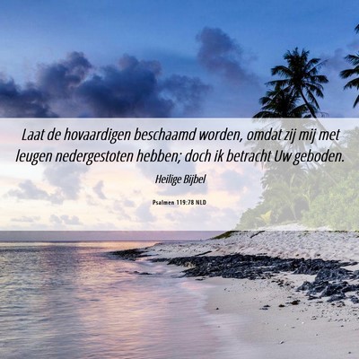 Picture 06 - Psalmen 119:78 NLD - Laat de hovaardigen beschaamd worden, omdat zij - Bible Verse Picture