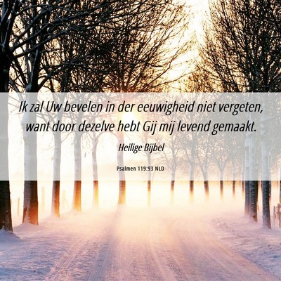 Picture 06 - Psalmen 119:93 NLD - Ik zal Uw bevelen in der eeuwigheid niet - Bible Verse Picture