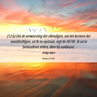 Picture 06 - Psalmen 12:5 NLD - (12:6) Om de verwoesting der ellendigen, om het - Bible Verse Picture