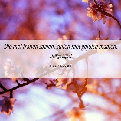 Picture 06 - Psalmen 126:5 NLD - Die met tranen zaaien, zullen met gejuich - Bible Verse Picture