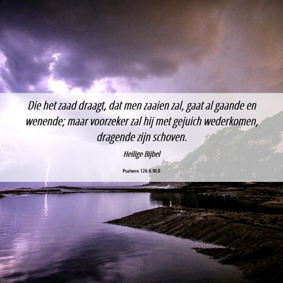 Picture 06 - Psalmen 126:6 NLD - Die het zaad draagt, dat men zaaien zal, gaat al - Bible Verse Picture