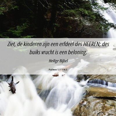 Picture 06 - Psalmen 127:3 NLD - Ziet, de kinderen zijn een erfdeel des HEEREN; - Bible Verse Picture