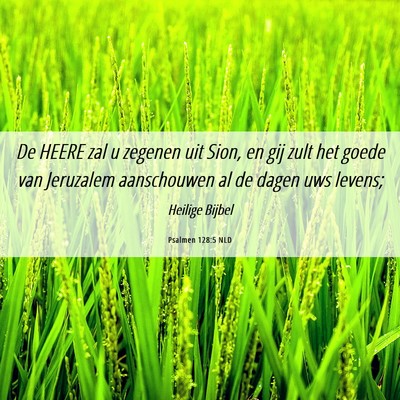 Picture 06 - Psalmen 128:5 NLD - De HEERE zal u zegenen uit Sion, en gij zult het - Bible Verse Picture