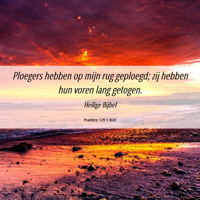 Picture 06 - Psalmen 129:3 NLD - Ploegers hebben op mijn rug geploegd; zij hebben - Bible Verse Picture