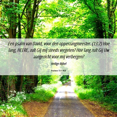 Picture 06 - Psalmen 13:1 NLD - Een psalm van David, voor den opperzangmeester. - Bible Verse Picture