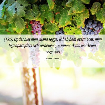 Picture 06 - Psalmen 13:4 NLD - (13:5) Opdat niet mijn vijand zegge: Ik heb hem - Bible Verse Picture