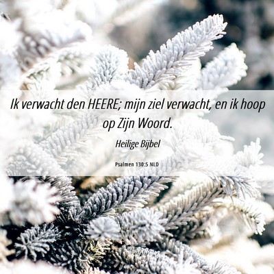 Picture 06 - Psalmen 130:5 NLD - Ik verwacht den HEERE; mijn ziel verwacht, en ik - Bible Verse Picture