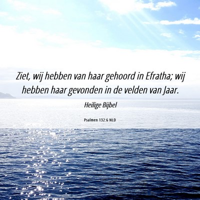 Picture 06 - Psalmen 132:6 NLD - Ziet, wij hebben van haar gehoord in Efratha; wij - Bible Verse Picture