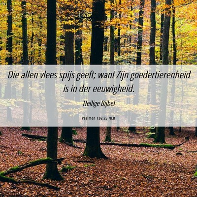 Picture 06 - Psalmen 136:25 NLD - Die allen vlees spijs geeft; want Zijn - Bible Verse Picture