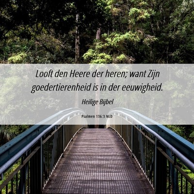 Picture 06 - Psalmen 136:3 NLD - Looft den Heere der heren; want Zijn - Bible Verse Picture