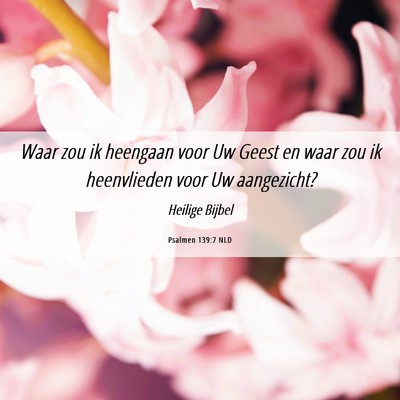 Picture 06 - Psalmen 139:7 NLD - Waar zou ik heengaan voor Uw Geest en waar zou ik - Bible Verse Picture