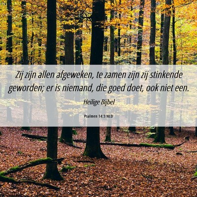 Picture 06 - Psalmen 14:3 NLD - Zij zijn allen afgeweken, te zamen zijn zij - Bible Verse Picture