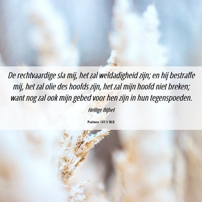 Picture 06 - Psalmen 141:5 NLD - De rechtvaardige sla mij, het zal weldadigheid - Bible Verse Picture