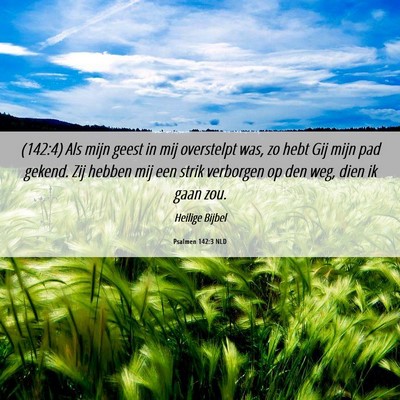 Picture 06 - Psalmen 142:3 NLD - (142:4) Als mijn geest in mij overstelpt was, zo - Bible Verse Picture