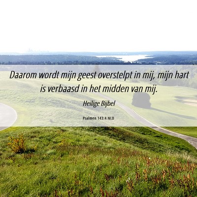 Picture 06 - Psalmen 143:4 NLD - Daarom wordt mijn geest overstelpt in mij, mijn - Bible Verse Picture