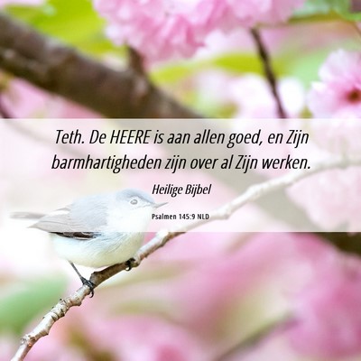 Picture 06 - Psalmen 145:9 NLD - Teth. De HEERE is aan allen goed, en Zijn - Bible Verse Picture