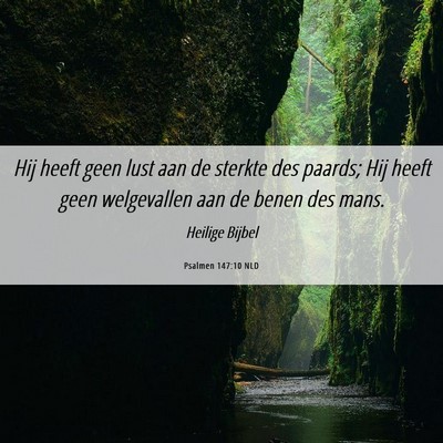 Picture 06 - Psalmen 147:10 NLD - Hij heeft geen lust aan de sterkte des paards; - Bible Verse Picture