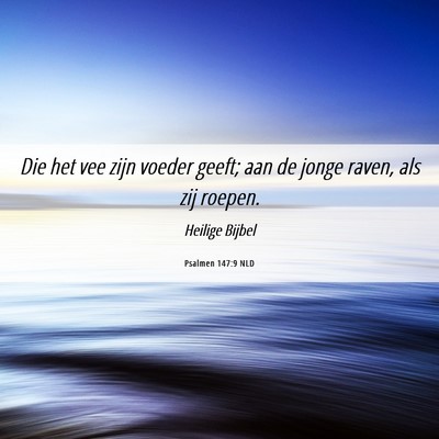 Picture 06 - Psalmen 147:9 NLD - Die het vee zijn voeder geeft; aan de jonge - Bible Verse Picture
