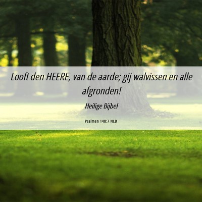 Picture 06 - Psalmen 148:7 NLD - Looft den HEERE, van de aarde; gij walvissen en - Bible Verse Picture