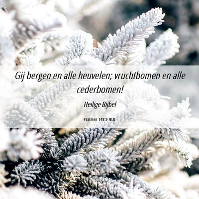 Picture 06 - Psalmen 148:9 NLD - Gij bergen en alle heuvelen; vruchtbomen en alle - Bible Verse Picture