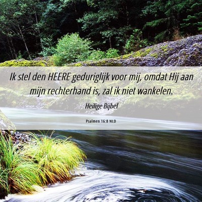 Picture 06 - Psalmen 16:8 NLD - Ik stel den HEERE geduriglijk voor mij, omdat Hij - Bible Verse Picture