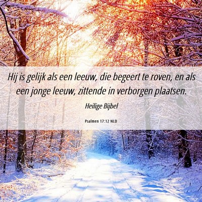 Picture 06 - Psalmen 17:12 NLD - Hij is gelijk als een leeuw, die begeert te - Bible Verse Picture