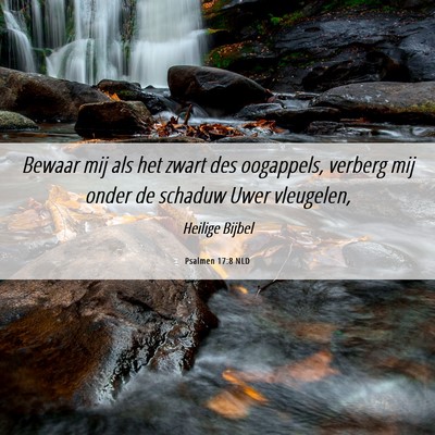 Picture 06 - Psalmen 17:8 NLD - Bewaar mij als het zwart des oogappels, verberg - Bible Verse Picture