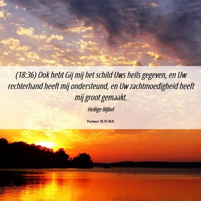 Picture 06 - Psalmen 18:35 NLD - (18:36) Ook hebt Gij mij het schild Uws heils - Bible Verse Picture