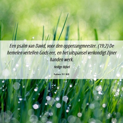 Picture 06 - Psalmen 19:1 NLD - Een psalm van David, voor den opperzangmeester. - Bible Verse Picture