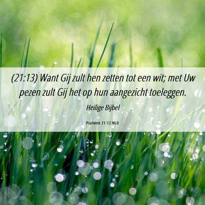 Picture 06 - Psalmen 21:12 NLD - (21:13) Want Gij zult hen zetten tot een wit; met - Bible Verse Picture