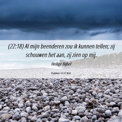 Picture 06 - Psalmen 22:17 NLD - (22:18) Al mijn beenderen zou ik kunnen tellen; - Bible Verse Picture