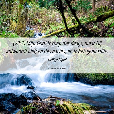 Picture 06 - Psalmen 22:2 NLD - (22:3) Mijn God! Ik roep des daags, maar Gij - Bible Verse Picture