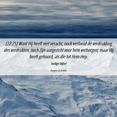 Picture 06 - Psalmen 22:24 NLD - (22:25) Want Hij heeft niet veracht, noch - Bible Verse Picture