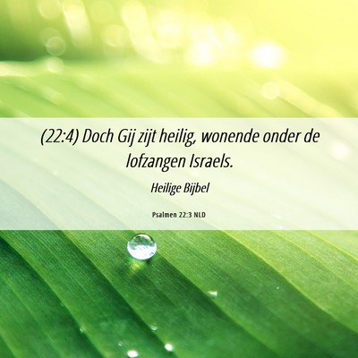 Picture 06 - Psalmen 22:3 NLD - (22:4) Doch Gij zijt heilig, wonende onder de - Bible Verse Picture