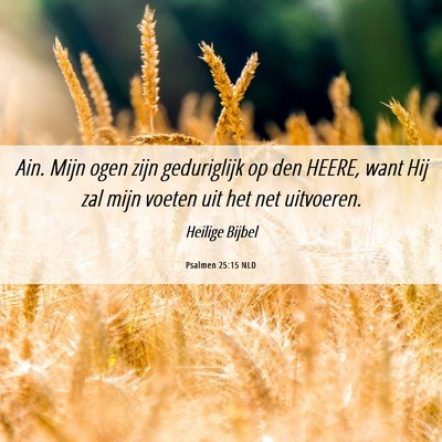 Picture 06 - Psalmen 25:15 NLD - Ain. Mijn ogen zijn geduriglijk op den HEERE, - Bible Verse Picture