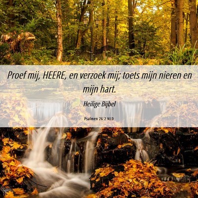 Picture 06 - Psalmen 26:2 NLD - Proef mij, HEERE, en verzoek mij; toets mijn - Bible Verse Picture