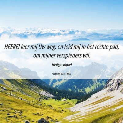 Picture 06 - Psalmen 27:11 NLD - HEERE! leer mij Uw weg, en leid mij in het rechte - Bible Verse Picture
