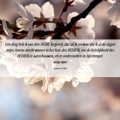Picture 06 - Psalmen 27:4 NLD - Een ding heb ik van den HEERE begeerd, dat zal ik - Bible Verse Picture