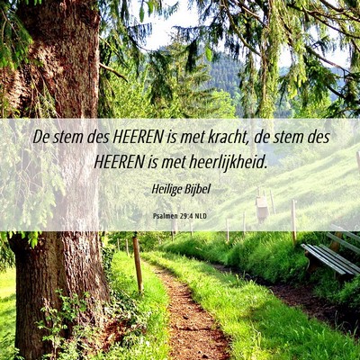Picture 06 - Psalmen 29:4 NLD - De stem des HEEREN is met kracht, de stem des - Bible Verse Picture